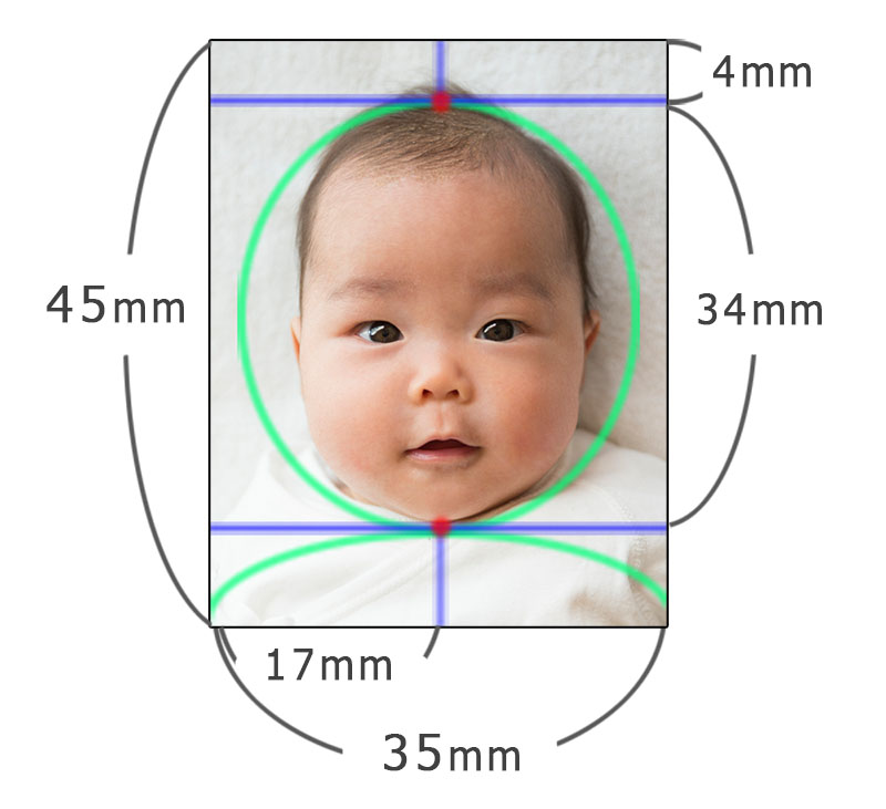 パスポート規格サイズの証明写真