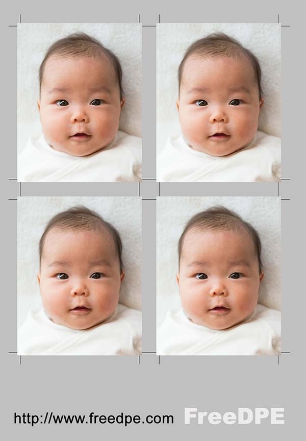 証明写真の完成